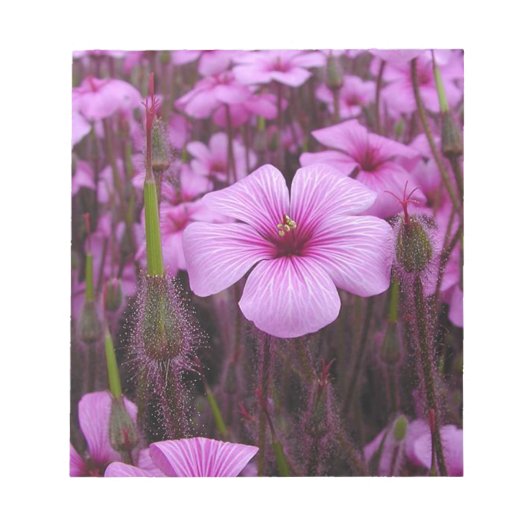 美しい花 ノートパッド (正面)