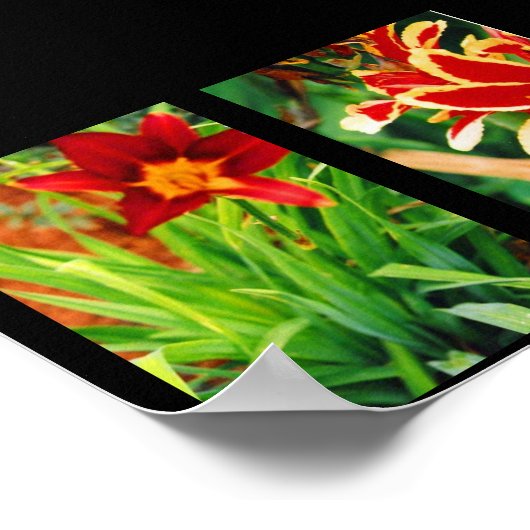 美しい花 ポスター (角)