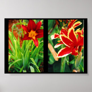 美しい花 ポスター