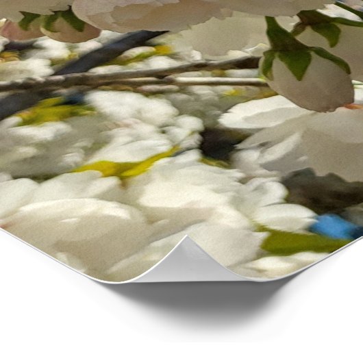 美しい花 ポスター (角)