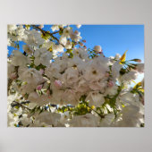 美しい花 ポスター (正面)