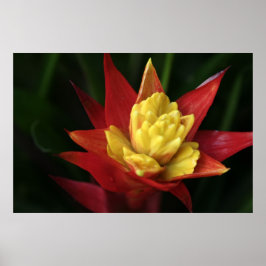 美しい花 ポスター