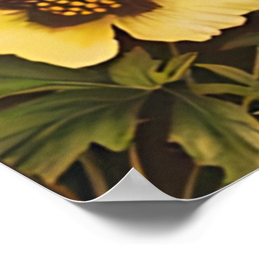 美しい花 ポスター (角)