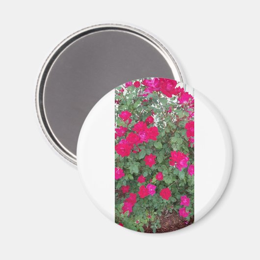 美しい花 マグネット (正面/裏面)