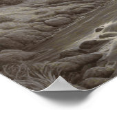 美しい芸術的中世の風景 ポスター (角)