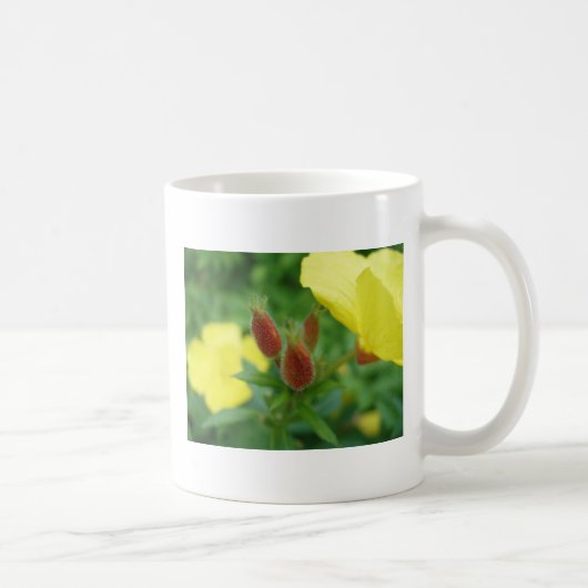 美しい芽の出る花 コーヒーマグカップ (右)