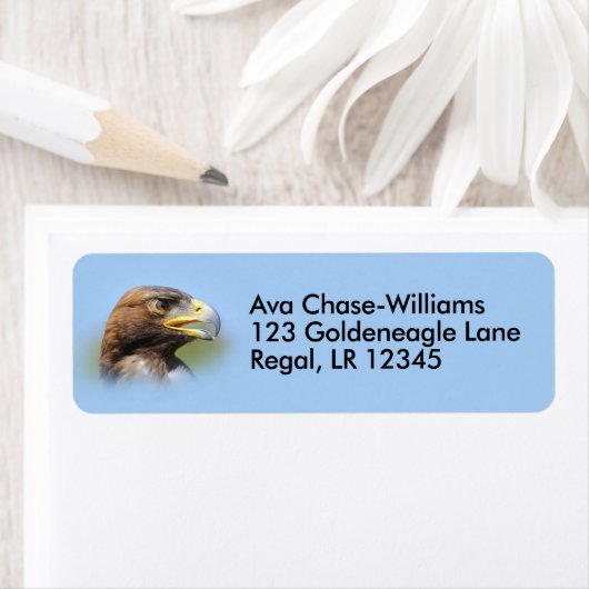 美しい若い金鷲の姿 ラベル (インサイチュ)