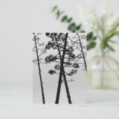 美しい茎の花 ポストカード (スタンド正面)