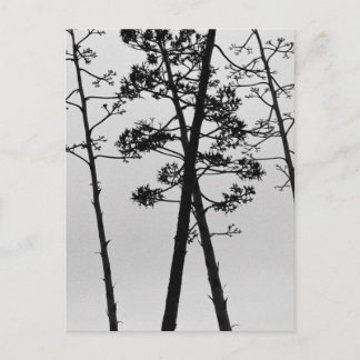 美しい茎の花 ポストカード