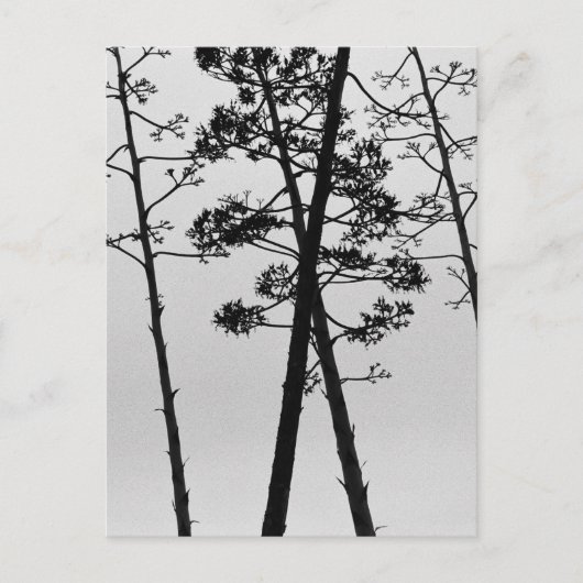 美しい茎の花 ポストカード (正面)