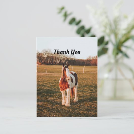 美しい茶色のペイントドラフト馬の写真ありがとう ポストカード (スタンド正面)