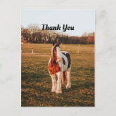 美しい茶色のペイントドラフト馬の写真ありがとう ポストカード (正面)