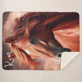 美しい茶色のモーガンサラブレッドの馬 シェルパブランケット (正面(横))