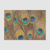 美しい茶色の孔雀の羽 薄葉紙 (正面)