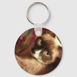 美しい茶色の猫 キーホルダー