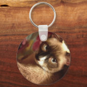 美しい茶色の猫 キーホルダー (正面)