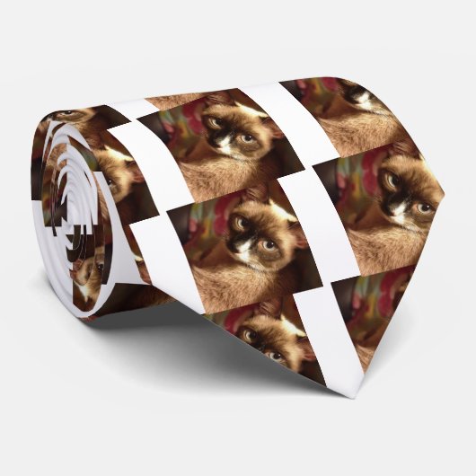 美しい茶色の猫 ネクタイ (ロール)
