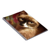 美しい茶色の猫 ノートブック (右側)