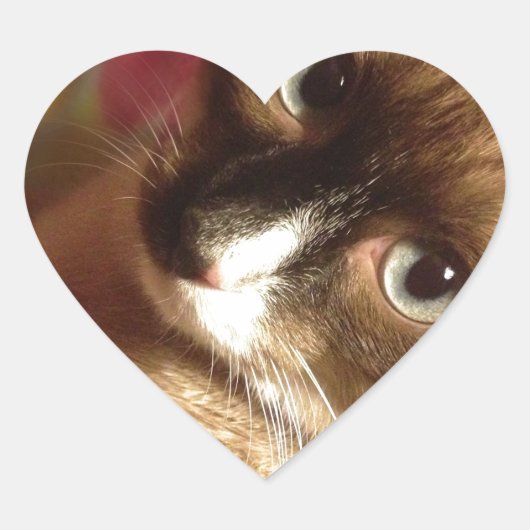 美しい茶色の猫 ハートシール (正面)