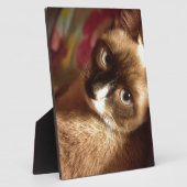 美しい茶色の猫 フォトプラーク (側面)