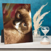 美しい茶色の猫 フォトプラーク (側面)