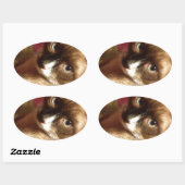 美しい茶色の猫 楕円形シール (シート)