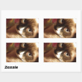 美しい茶色の猫 長方形シール (シート)