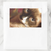 美しい茶色の猫 長方形シール (バッグ)