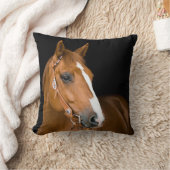 美しい茶色の白い四分の馬の写真 クッション (ブランケット)