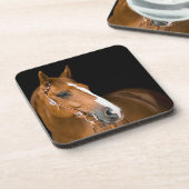 美しい茶色の白い四分の馬の写真 コースター (左側)