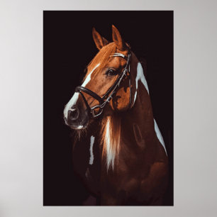 美しい茶色の絵を描馬のポートレート写真 ポスター