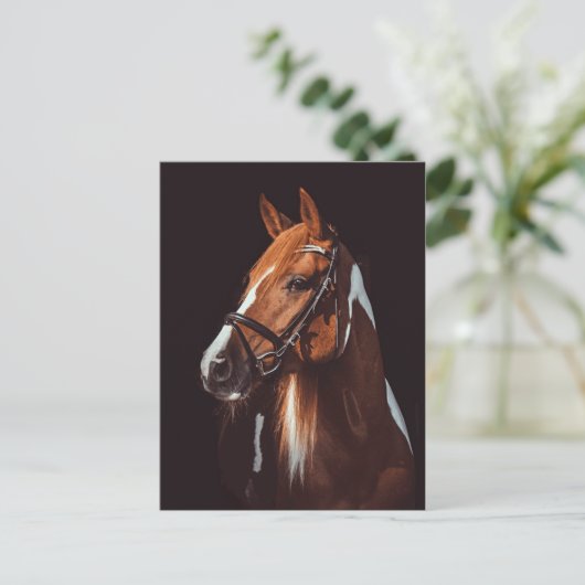 美しい茶色の絵を描馬のポートレート写真 ポストカード (スタンド正面)