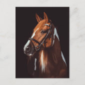 美しい茶色の絵を描馬のポートレート写真 ポストカード (正面)