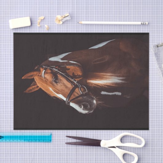 美しい茶色の絵を描馬のポートレート写真 薄葉紙 (クラフト)