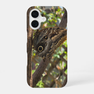 美しい茶色の蝶 iPhone 16ケース