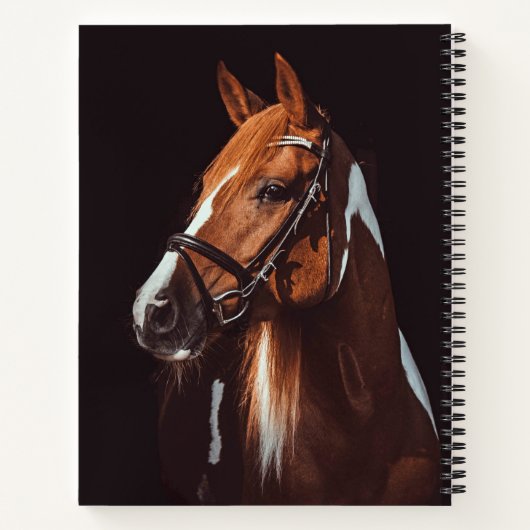 美しい茶色の馬の絵を描ポートレート写真 ノートブック (裏面)