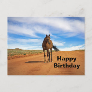 美しい茶色の馬の道の写真の誕生日 ポストカード