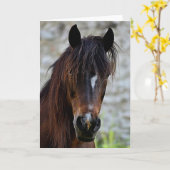 美しい茶色の馬 カード (黄色い花)