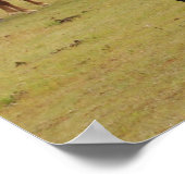 美しい茶色の馬 ポスター (角)