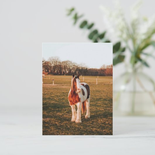 美しい茶色絵を描の荷車を引く馬の写真 ポストカード (スタンド正面)