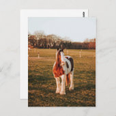 美しい茶色絵を描の荷車を引く馬の写真 ポストカード (正面/裏面)