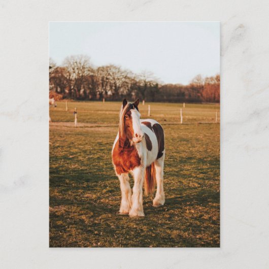 美しい茶色絵を描の荷車を引く馬の写真 ポストカード (正面)