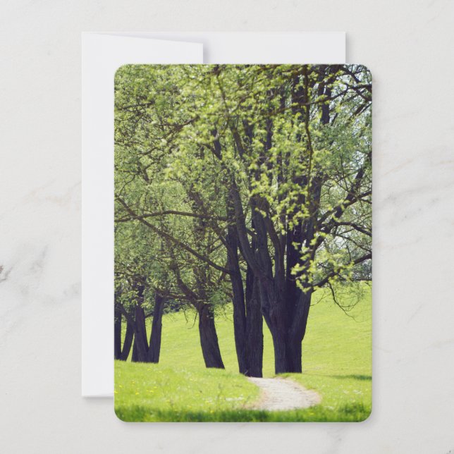 美しい草原 (正面)