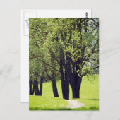 美しい草原 ポストカード (正面/裏面)