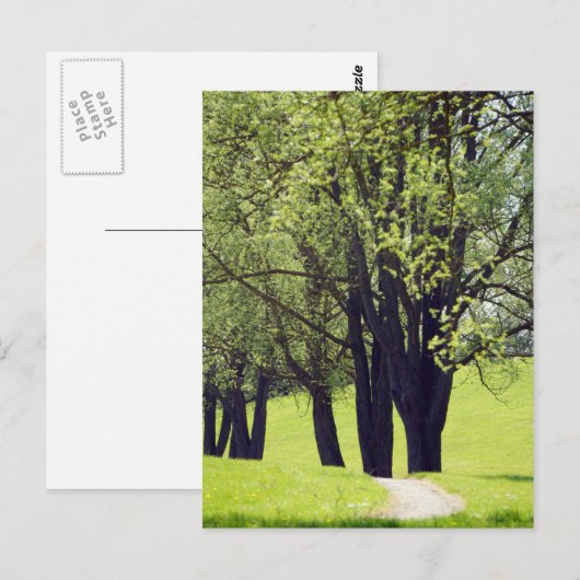 美しい草原 ポストカード (正面/裏面)