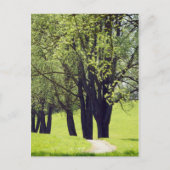 美しい草原 ポストカード (正面)