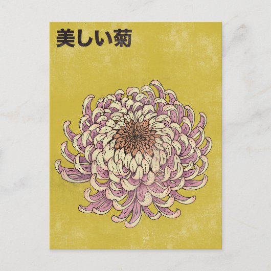 美しい菊 ポストカード (正面)