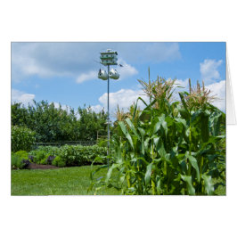 美しい菜園の写真