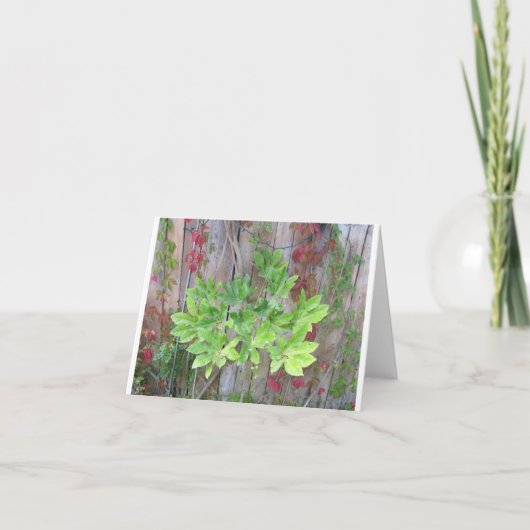 美しい葉のフェンスのグリーティングカード サンキューカード (正面)