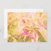 美しい葉クロートンの(1) ポストカード (正面/裏面)